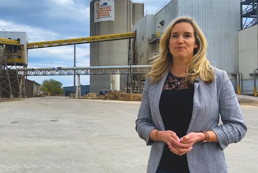 Michigan Sugar thumb