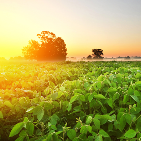 Vertical Plate Conditioner icon